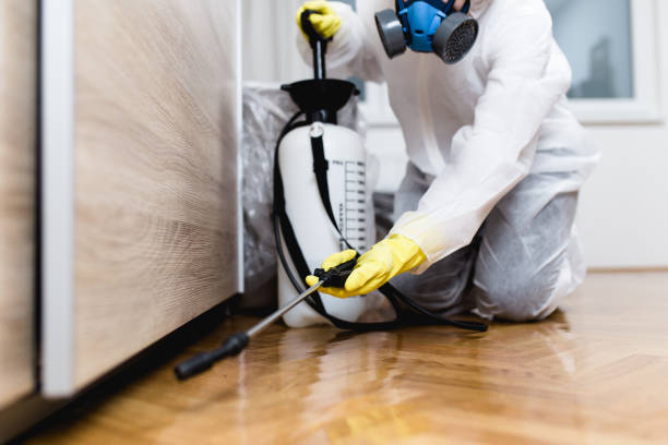 Best Pest Removal Services  in St Ignace, MI