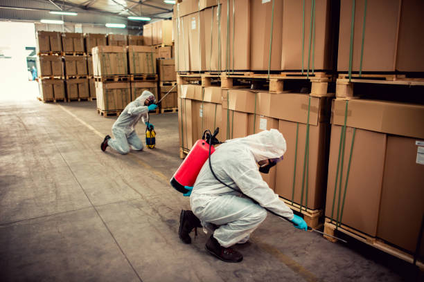 Best Insect Control  in St Ignace, MI