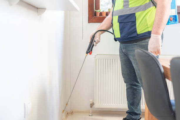Best Termite Control Services  in St Ignace, MI