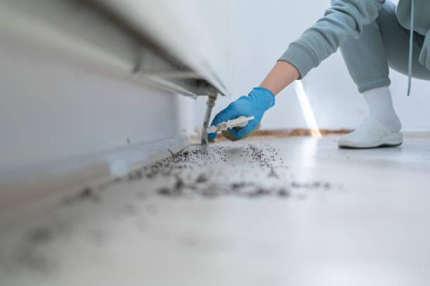 Best Best Pest Control Companies  in St Ignace, MI